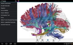 Скриншот 6 APK-версии Brain Tutor 3D