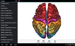 Скриншот 7 APK-версии Brain Tutor 3D