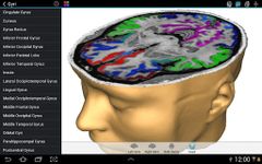 Скриншот 4 APK-версии Brain Tutor 3D