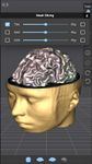 Скриншот 23 APK-версии Brain Tutor 3D