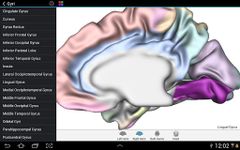 Скриншот 5 APK-версии Brain Tutor 3D