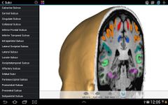 Скриншот 3 APK-версии Brain Tutor 3D