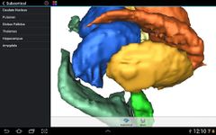 Скриншот  APK-версии Brain Tutor 3D