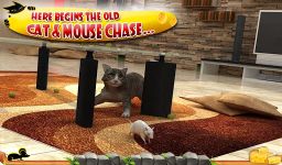 Crazy Cat vs. Mouse 3D 이미지 13