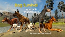 Картинка 3 Dog Survival Simulator