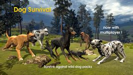 Dog Survival Simulator imgesi 17