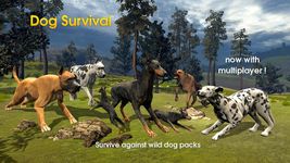 Картинка 11 Dog Survival Simulator