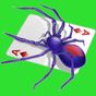 Icono de Spider Solitaire