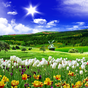 Spring Nature Live Wallpaper icon