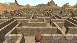 Immagine  di 3D Maze (The Labyrinth)