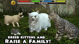 Imagem 2 do Stray Cat Simulator