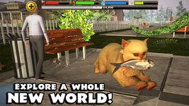 Stray Cat Simulator image 1