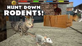 Stray Cat Simulator image 12