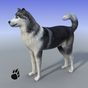 Snow Dog Survival Simulator APK Simgesi