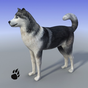 Snow Dog Survival Simulator APK Icon