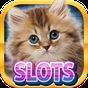 Casino Kitty - Free Cat Slots APK Icon