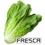 Lechuga Paralela APK