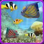Aquarium and fishes apk icon