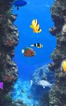Aquarium and fishes image 3