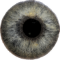 Eye Diagnosis