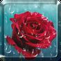 Rose Raindrop Live Wallpaper apk icono