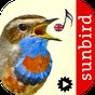 Icono de Bird Song Id: Auto Recognition