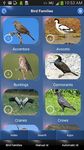 Bird Song Id: Auto Recognition captura de pantalla apk 11