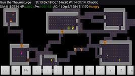 NetHack captura de pantalla apk 1