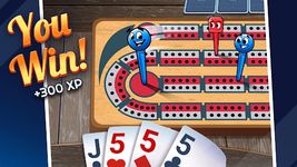 Скриншот 8 APK-версии Ultimate Cribbage