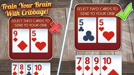 Ultimate Cribbage στιγμιότυπο apk 