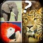 Quiz Me - What Animal Am I? APK