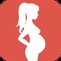 Pregnancy Health & Fitness apk icon