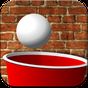 Beer Pong Tricks apk icon