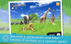 Скриншот 17 APK-версии RealSafari - Find the animal