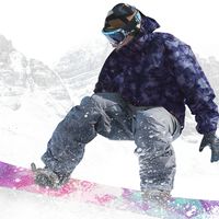 for android download Snowboard Party Lite