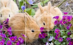 Imagem 2 do Puzzle - coelhos bonitos