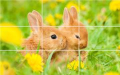 Imagem 15 do Puzzle - coelhos bonitos