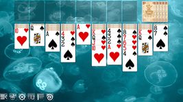 ÜCRETSÝZ ÖRÜMCEK SOLITAIRE ekran görüntüsü APK 