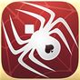 Icono de Spider Solitaire+