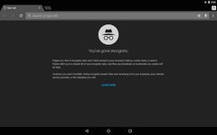 Tangkap skrin apk Chrome Dev 14