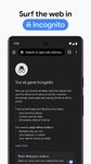 Chrome Dev captura de pantalla apk 6