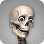 Skelly: Poseable Anatomy Model icon