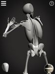 Скриншот 6 APK-версии Skelly: Poseable Anatomy Model