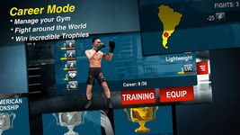 Картинка 4 World Boxing Challenge