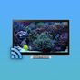 Aquariums on TV via Chromecast