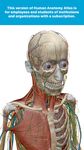 Картинка 2 Human Anatomy Atlas (Org.)