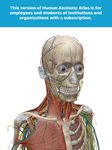Human Anatomy Atlas (Org.) afbeelding 1