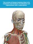 Human Anatomy Atlas (Org.) afbeelding 