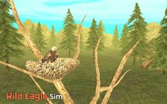 Gambar Wild Eagle Sim 3D 5