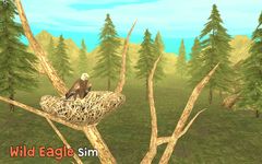 Wild Eagle Sim 3D ảnh số 14